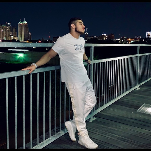 Meet your Posher Jay 🌟🦉 - Picture 4 of 5